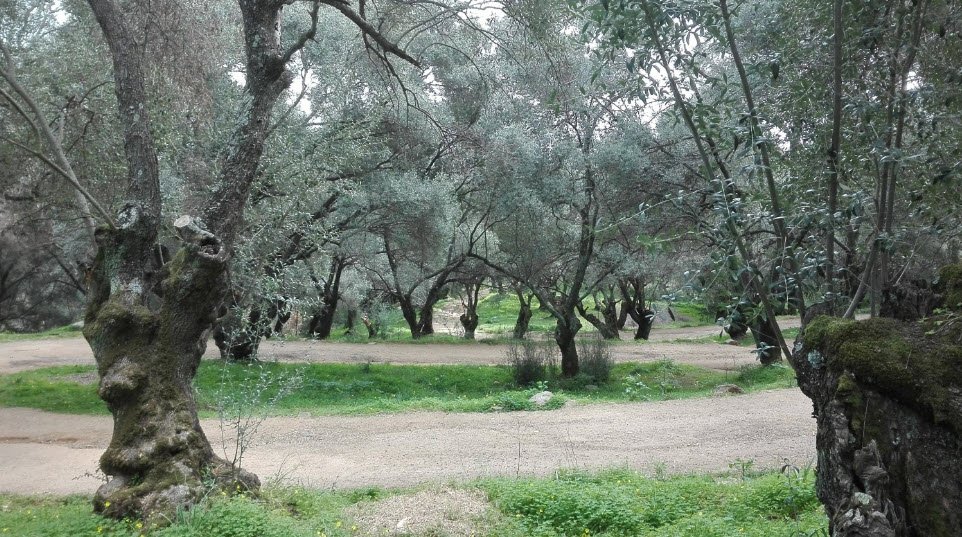 Domaine des Milelli, Ajaccio, France, France